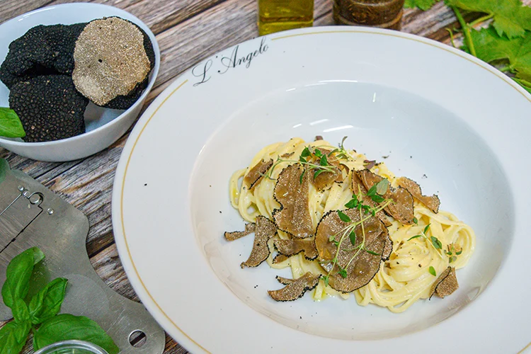 Ein Teller mit cremiger Pasta, garniert mit dünn geschnittenen schwarzen Trüffeln und frischen Kräutern, steht auf einem weißen Teller. Daneben stehen eine Schale mit ganzen Trüffeln, frischem Basilikum, Olivenöl und ein Trüffelhobel auf einem Holztisch.